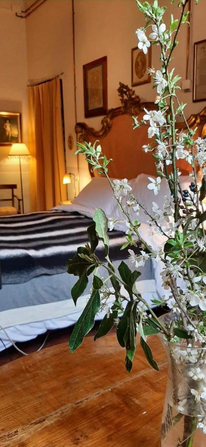 Villa I Bossi Arezzo Eksteriør bilde
