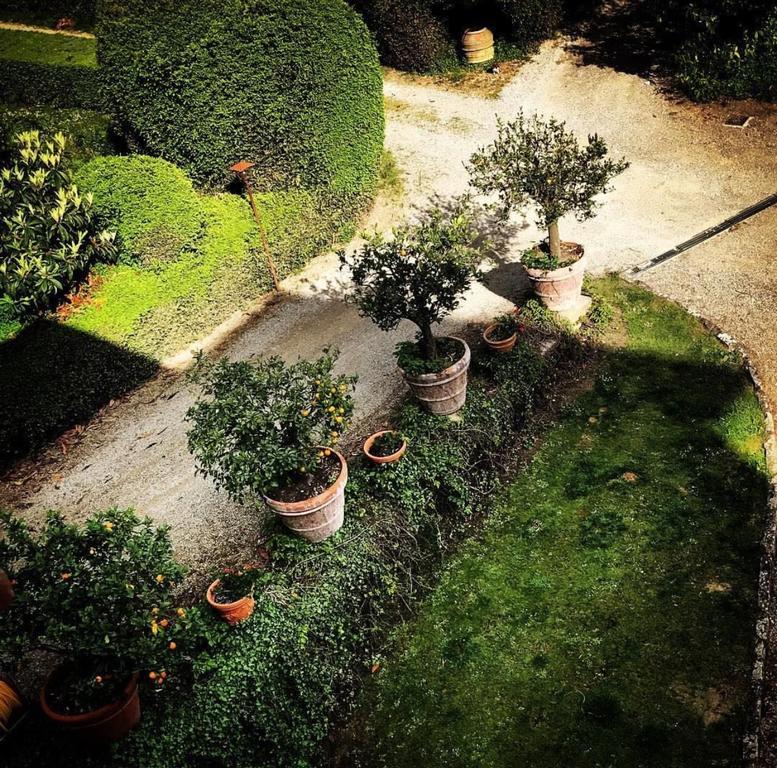 Villa I Bossi Arezzo Eksteriør bilde